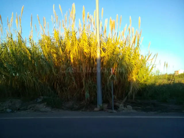 Solar en Venta Serratelles Nules - foto 5