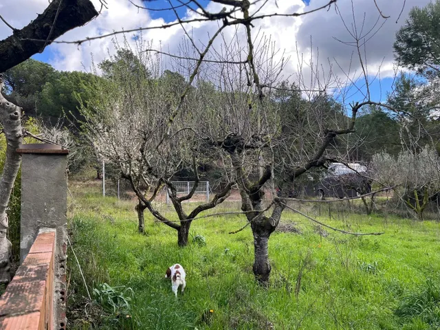 VENTA DE TERRENO EN EL BRUC - URB MONTSERRAT PARK (BARCELONA) — 8