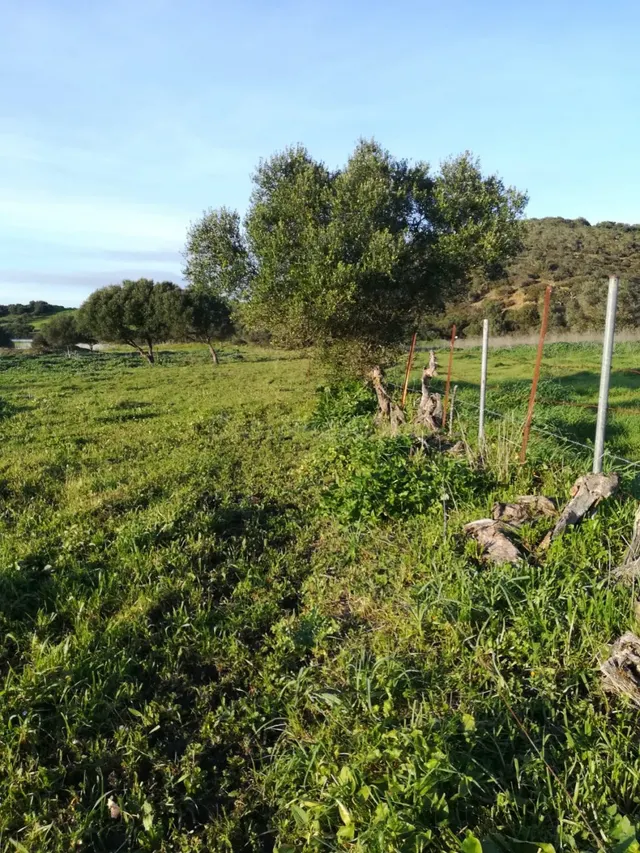 Parcela Rústica en Naveros a pie de carretera. - foto 3