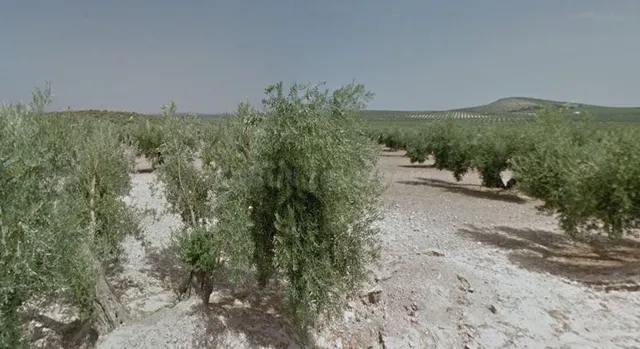 SE VENDE suelo urbano OKUPA en C Torredonjimeno de Torredon