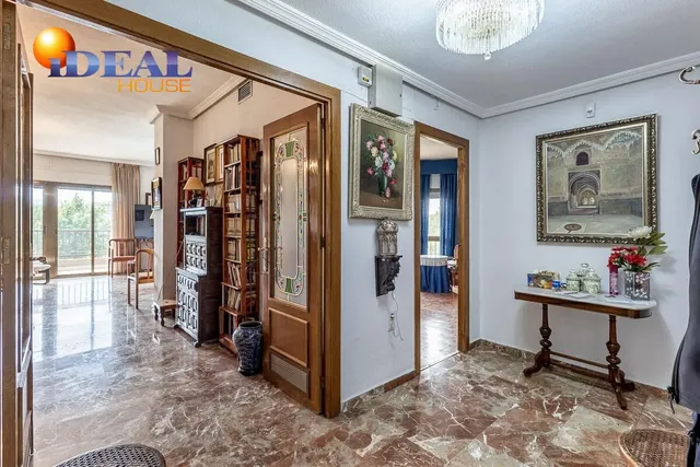 Pisazo en paseo del salón - Granada — 39