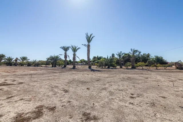 Casa de campo cerca de las bayas — 23