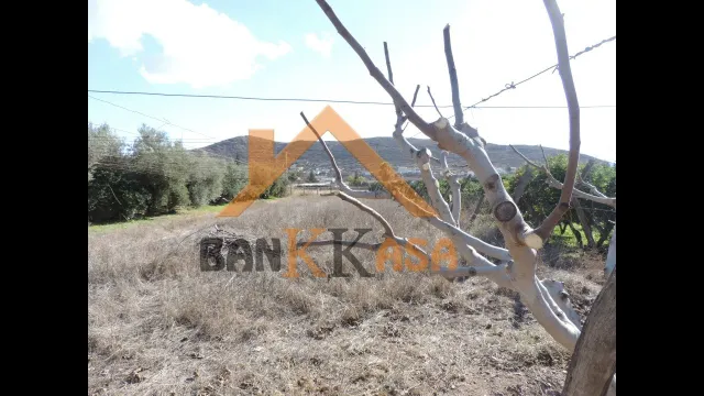 SE VENDE TERRERENO RURAL EN BERJA CON CORTIJO — 15