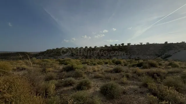Parcela industrial en venta en Alhendín | Parque Empresarial - foto 5