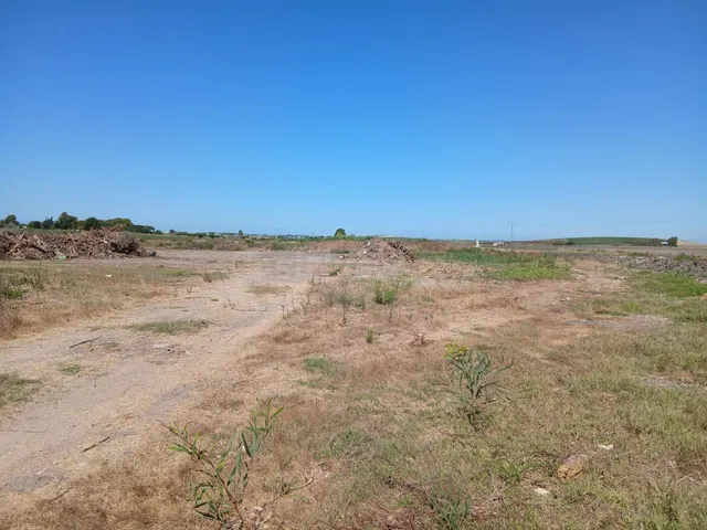 Se vende magnífica parcela de uso agrario con una superficie - foto 3