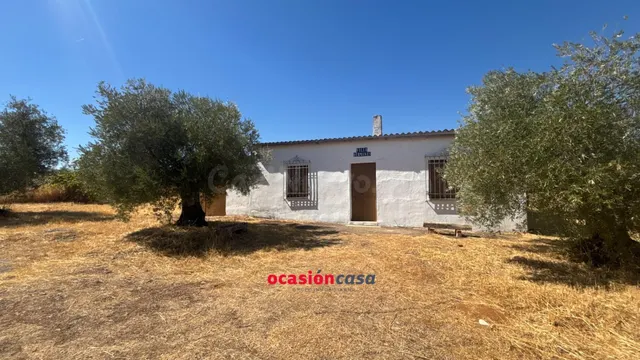 PARCELA CON CASA Y OLIVOS