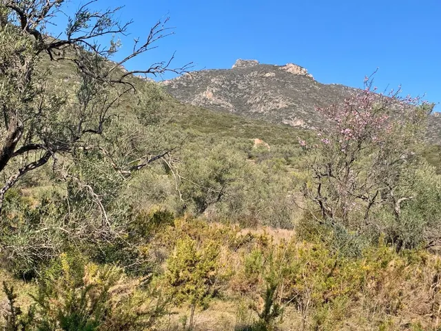 Finca rústica 15m² en venta - Roquetes — 9