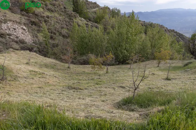 Cortijo Sierra Nigüelas — 46