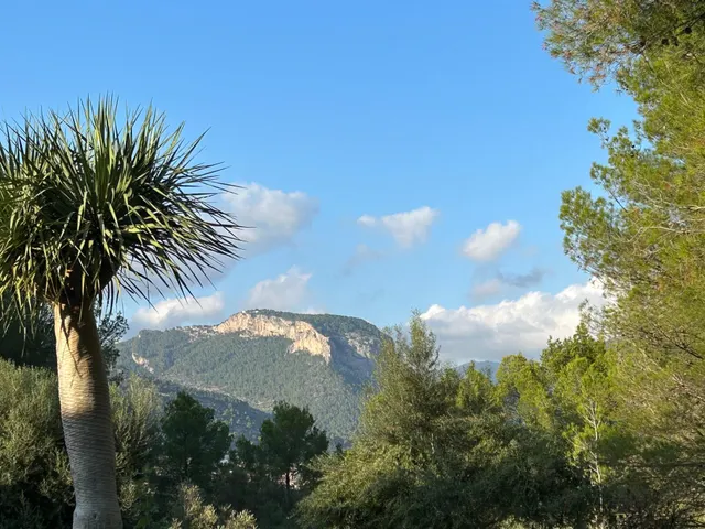 Chalet  con maravillosas vistas y piscina en alaro, facil acceso — 25
