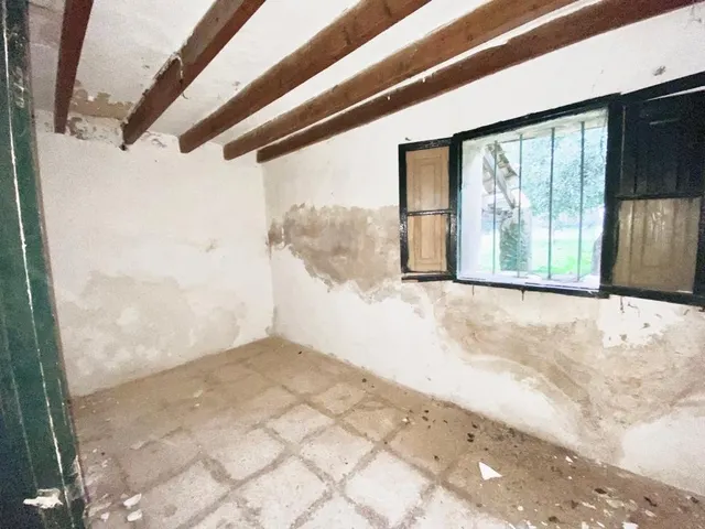 Finca rústica con caseta y 6000m2 para tus proyectos de campo — 20
