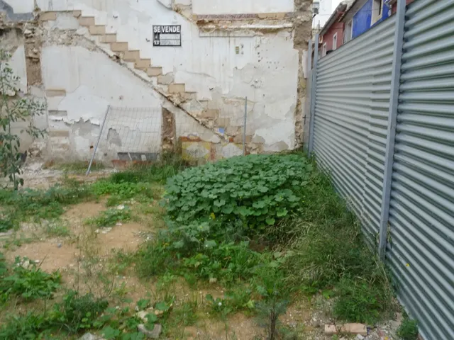 SE VENDE SOLAR URBANO EN EL CENTRO DE ASPE - foto 2