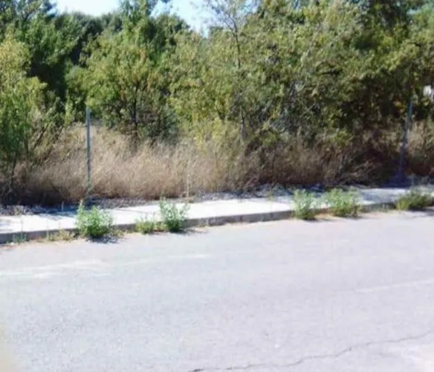 Parcela en venta - EL PINAR - foto 2