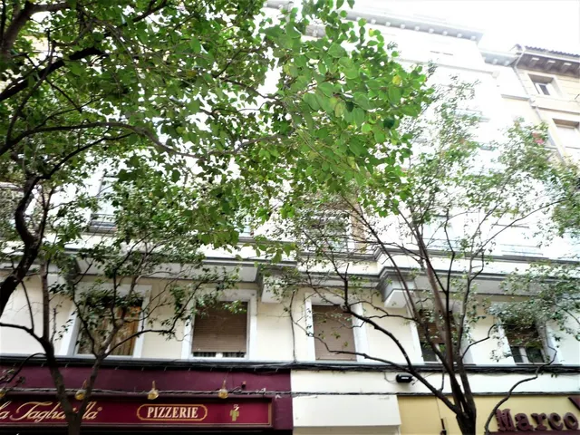 Se Vende Piso de 118 m2, reformado, en Don Jaime esquina Plaza del Pilar — 41