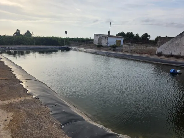 Espectacular finca rústica con proyecto de construcción y licencia en Los Montesinos — 28