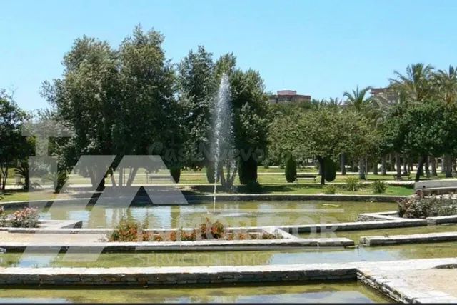Zona Virgen del Remedio