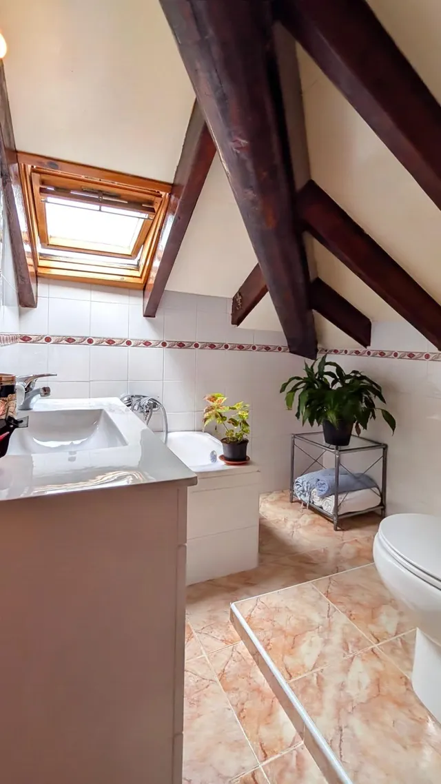 VIVIENDA Y NEGOCIO EN PIELAGOS — 26