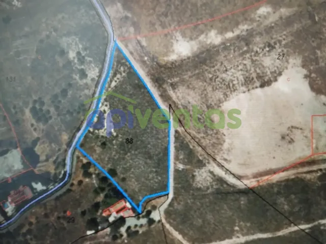 Terreno en el Alto  Purias — 12