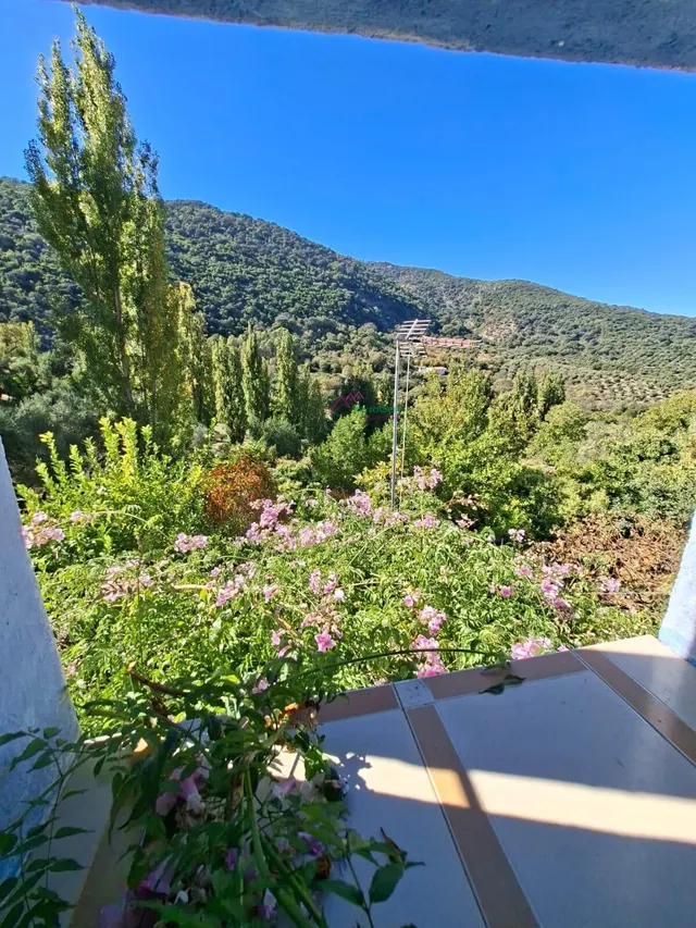 Venta casa estilo rústica con terreno.benamahoma. — 20