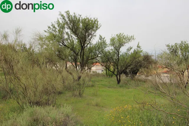 FINCA EN CORTIJO SAN JERÓNIMO (BARTODANO) — 12