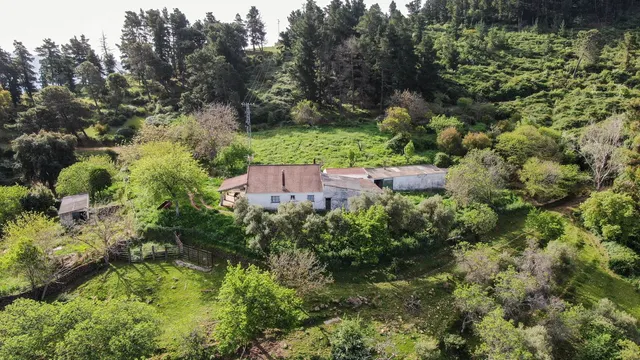 Finca rústica 3 habitaciones 467m² en venta - South of spain - foto 2