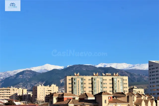 Apartamento 1 habitación 55m² en alquiler - Campus Salud