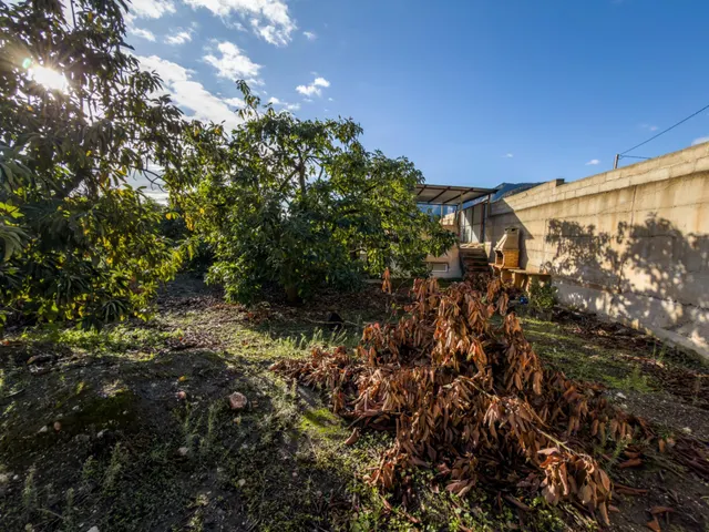 Finca rústica de AGUACATES con CONTRUCCIÓN de 37 m2 en Los Guájares (Faragüit) — 25