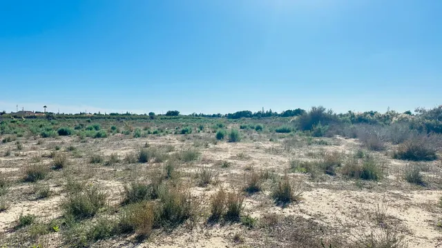 Terreno de 12.000 m2 en Perleta. — 9