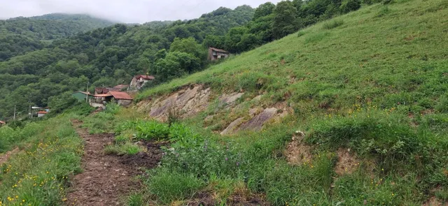 FINCA DE 30.000M2 CON CASA Y CUADRAS - foto 2