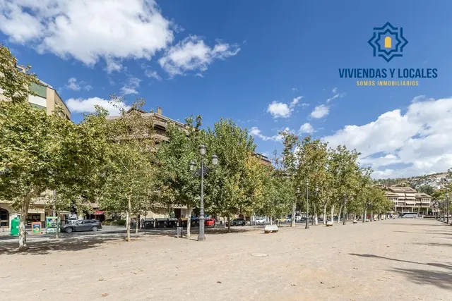 Pisazo en paseo del salón - Granada — 45