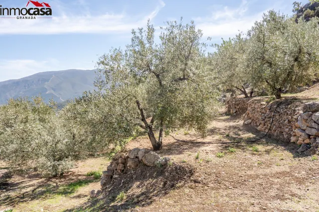 TERRENO EN PINOS DEL VALLE — 9