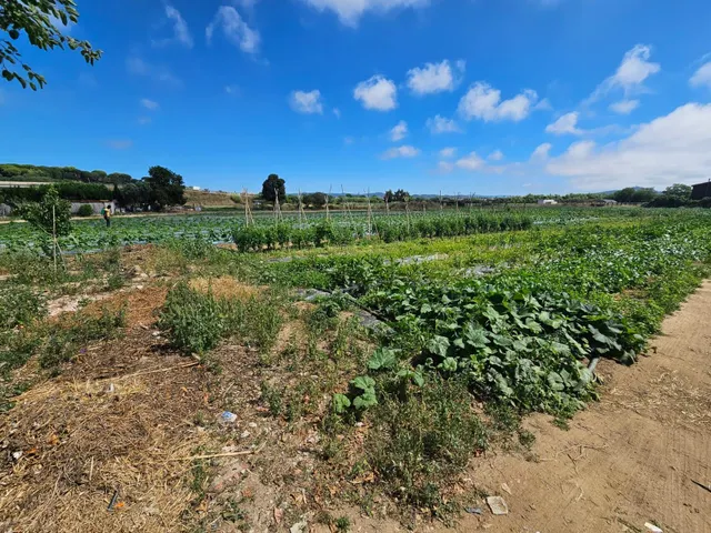 Terreno agricola en venta en Malgrat de Mar — 27