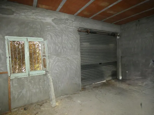 +Oportunidad Única: Casa para Reformar en Entorno Rural y Ecológico+ — 24