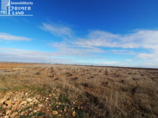 Se venden 10,4 de hectareas de tierra blanca en el termino d - foto 2