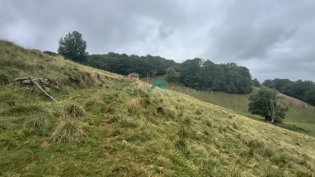 Finca rústica de 52.700 m2 con edificación de 206 m2 en Entr - foto 3