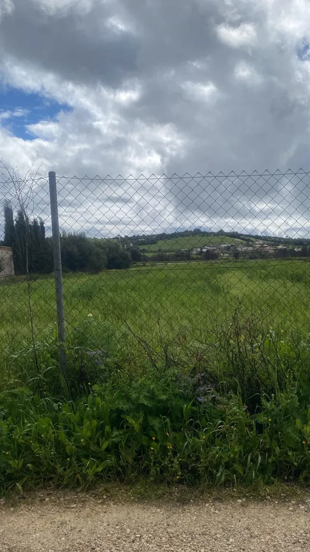 2800 METROS EN ARCOS DE LA FRONTERA — 4