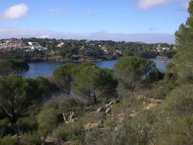 LAS JARAS — 4