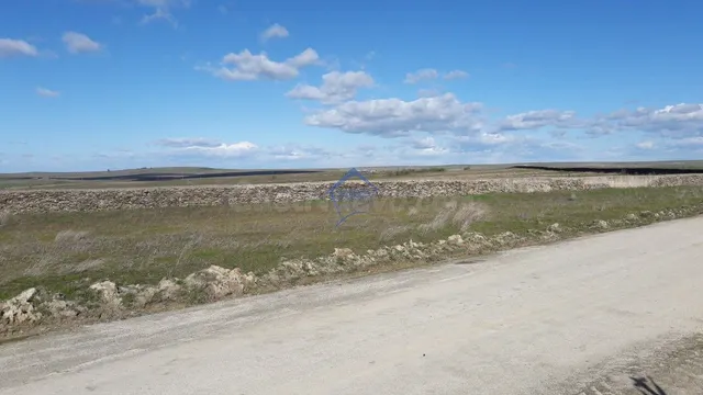 Parcela de 2.500 metros en Sierra de Fuentes - foto 3