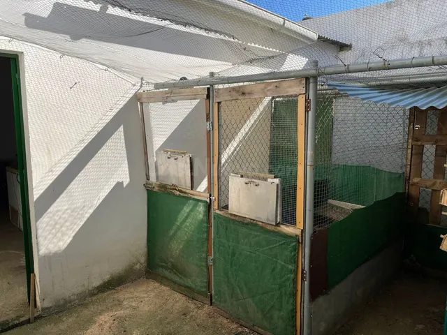 Local comercial en venta - Bollullos par del condado - foto 2