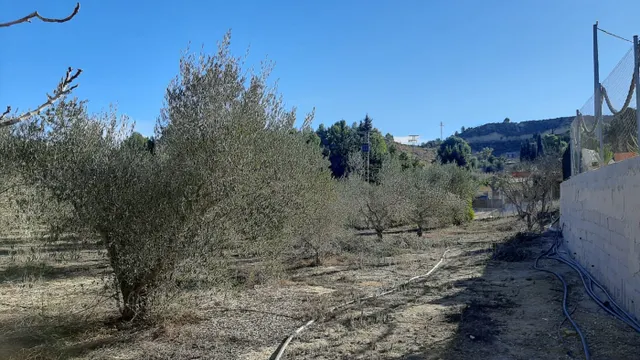 Casa con parcela  Camino de Los Puros — 14