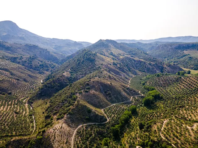 Dehesa zona Sierra Magina en Cambil y Huelma - Jaen - foto 5
