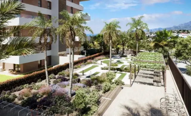 Apartamento 2 habitaciones 81m² en venta - Playas Del Torres — 4