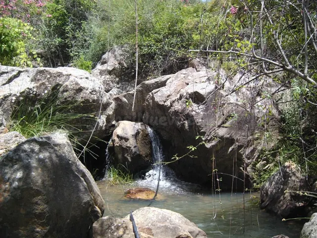 Parcela en venta - El colmenar cortes de la frontera — 4
