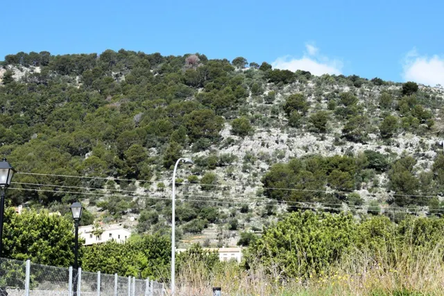 Solar en venta en Alaró con excelente potencial de construcc