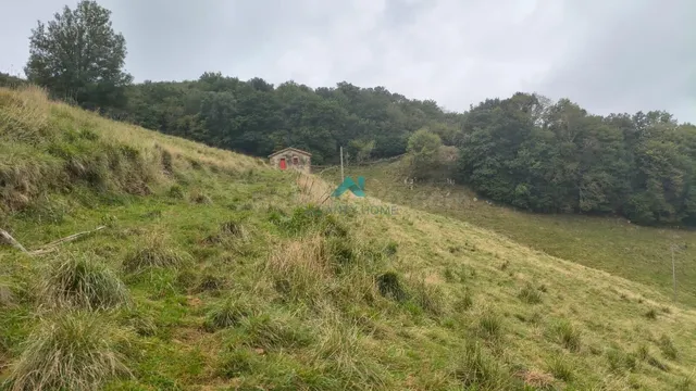Finca rústica de 52.700 m2 con edificación de 206 m2 en Entr - foto 2