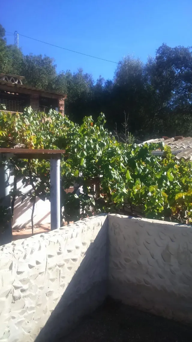 Finca rústica a la venta en Comares — 11