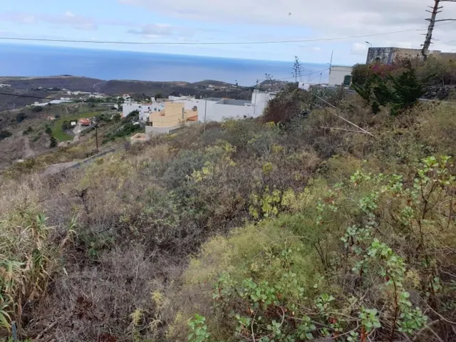 Terreno urbanizable 1742m² en venta - Lomo blanco gran canar - foto 3