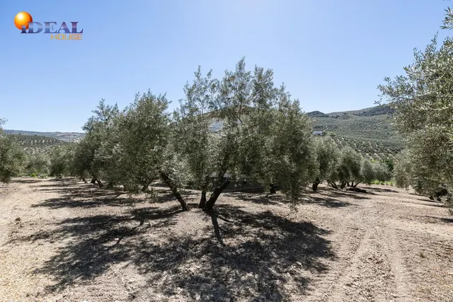 Casa con terreno ubicada en plena naturaleza, a tan solo 2km de Montefrio. — 40