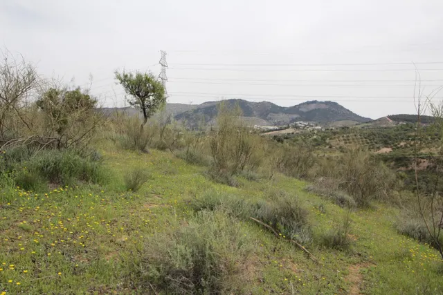 FINCA EN CORTIJO SAN JERÓNIMO (BARTODANO) — 33