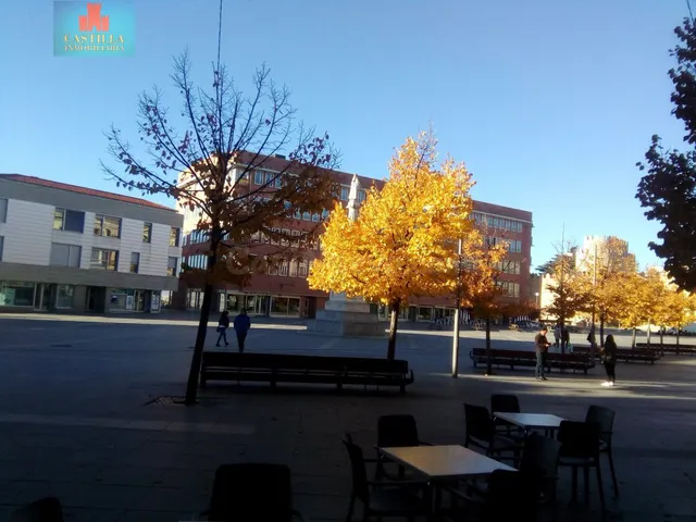 LOCAL CENTRO, CENTRO, CENTRO - foto 2
