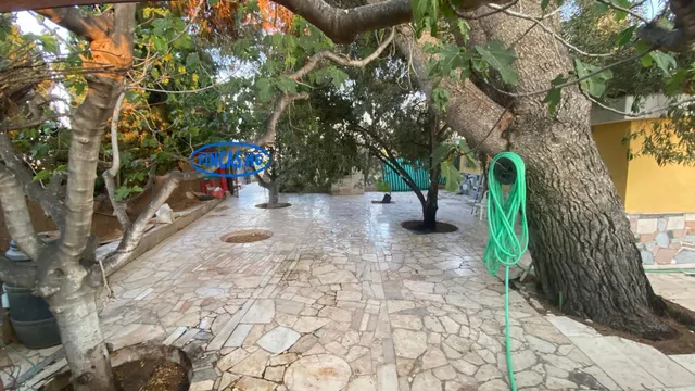Típica casa tradicional de campo situada sobre terreno URBANO!  de 3900m2 — 46